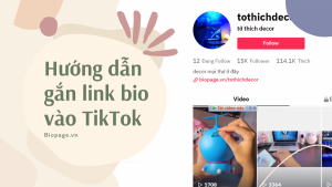 Hướng dẫn gắn link bio vào TikTok